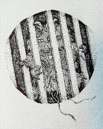 Monster In Drain