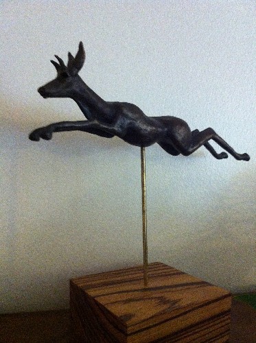 Springbok